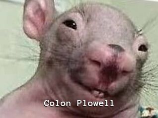 Colon_Plowell