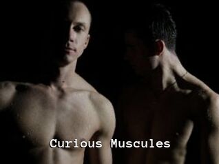 Curious_Muscules