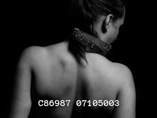C86987-07105003