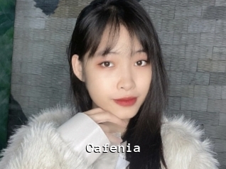 Cafenia