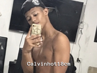 Calvinhot18cm