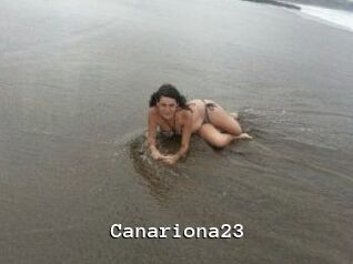 Canariona23