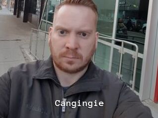 Cangingie