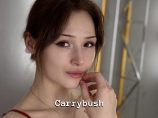 Carrybush