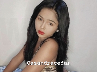 Casandracedar