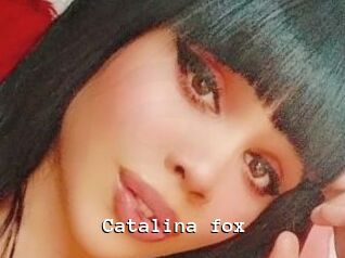 Catalina_fox
