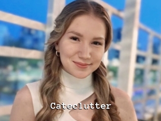 Cateclutter