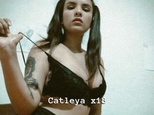 Catleya_x18