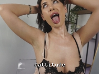 Cattitude