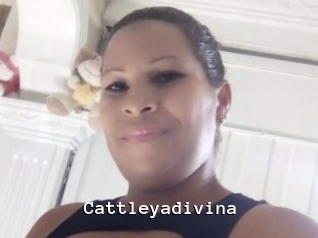Cattleyadivina