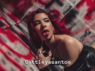 cattleyasantos Webcamsex Amateur