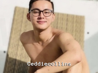 Ceddiecollins