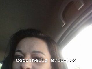 Coccinella-07105003