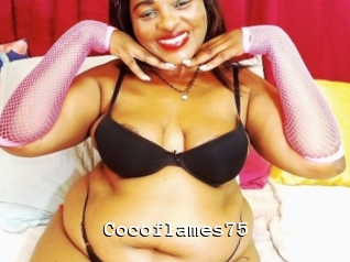 cocoflames75 Webcamsex Amateur