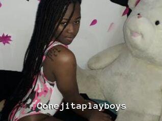 Conejitaplayboys