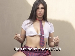 Confidentmodel1718