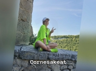 Cornesakeat