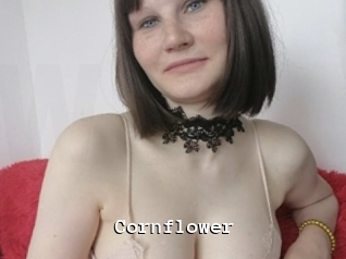 cornflower Webcamsex Amateur