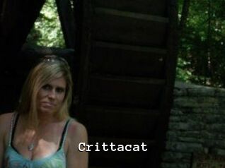 Crittacat