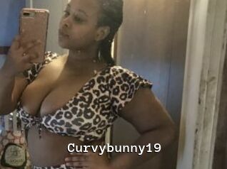 Curvybunny19
