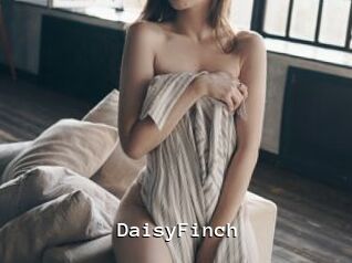 DaisyFinch