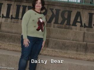 Daisy_Bear