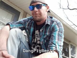 DangPigBenis