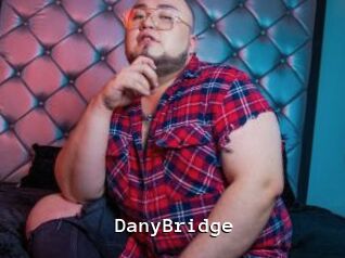 DanyBridge