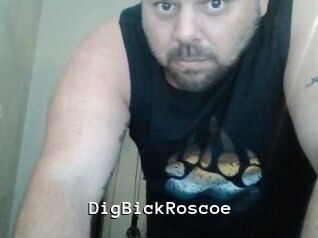 DigBickRoscoe