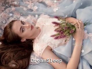 DreamSleep