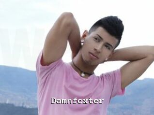 Damnfoxter