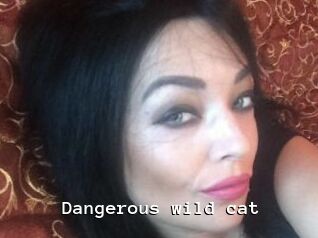 Dangerous_wild_cat