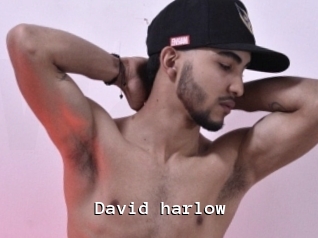 david_harlow Webcamsex Amateur