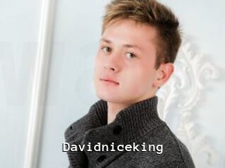 Davidniceking