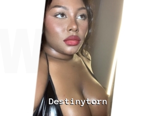 destinytorn Webcamsex Amateur