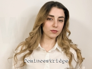 Dominoestridge