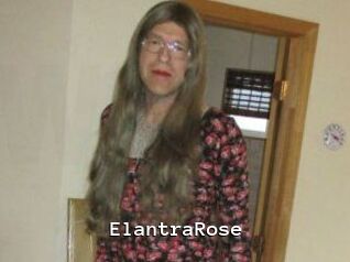 Elantra_Rose