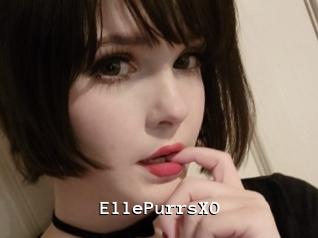 EllePurrsXO