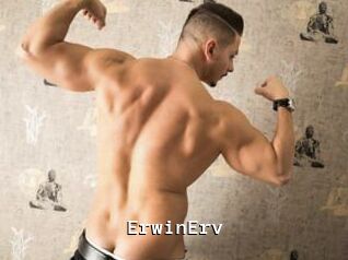 ErwinErv