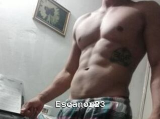 Escanor23