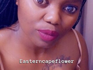 Easterncapeflower