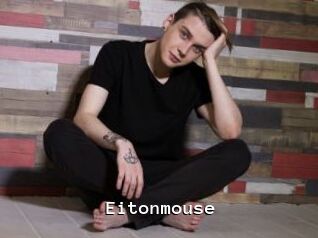 Eitonmouse
