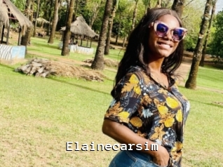 Elainecarsim