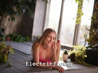 Electricflower