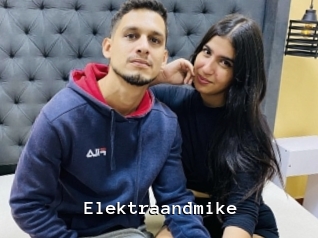 Elektraandmike