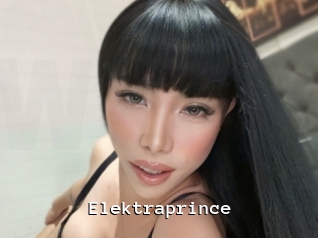 elektraprince Webcamsex Amateur
