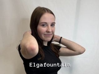 Elgafountain