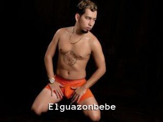 Elguazonbebe