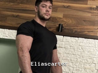 eliascarter Webcamsex Amateur