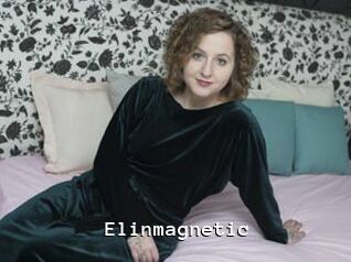 Elinmagnetic